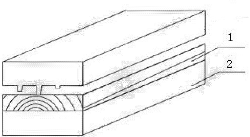 Embossing preparation process of wood for solid-wood doors and windows