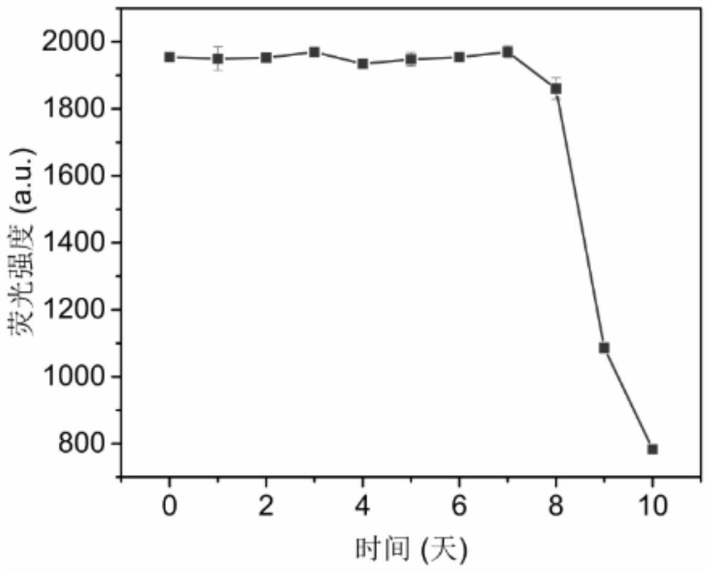 Preparation method of fluorogold nano-clusters by enzyme synthesis