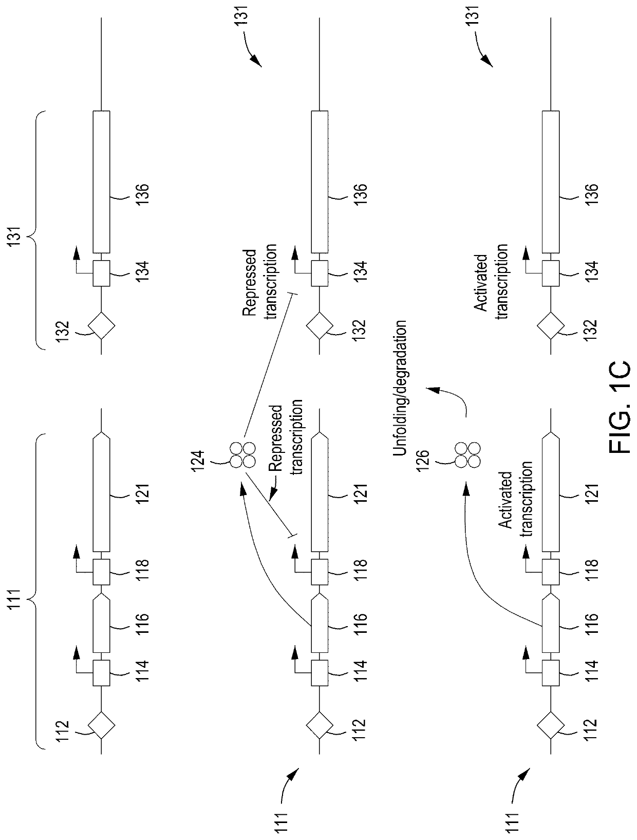 Instruments, modules, and methods for improved detection of edited sequences in live cells