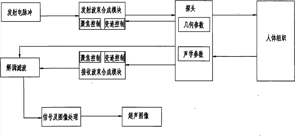 Ultrasonic probe adaptive imaging system