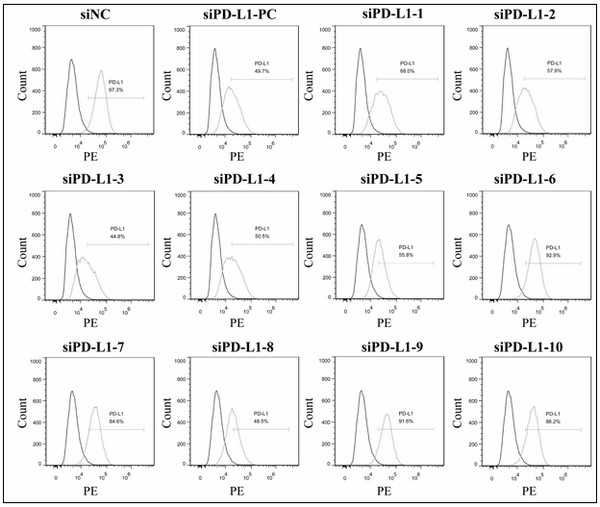 siRNA sequences for silencing programmed death receptor-ligand expression and their applications