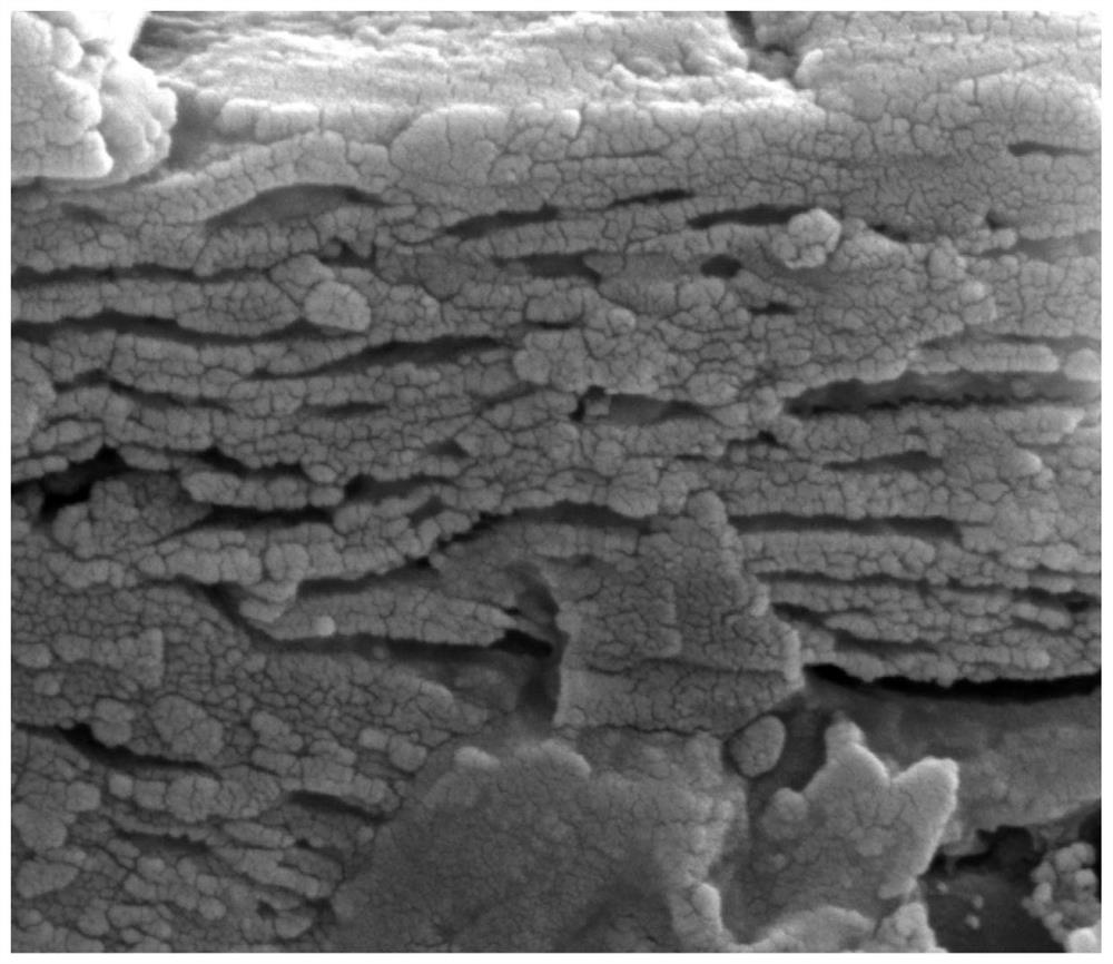 Preparation method of pre-lithiated MXenes material and application of pre-lithiated MXenes material in battery electrode material