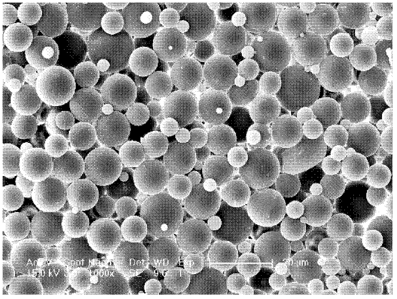 Insulin carrying microsphere and preparation method thereof