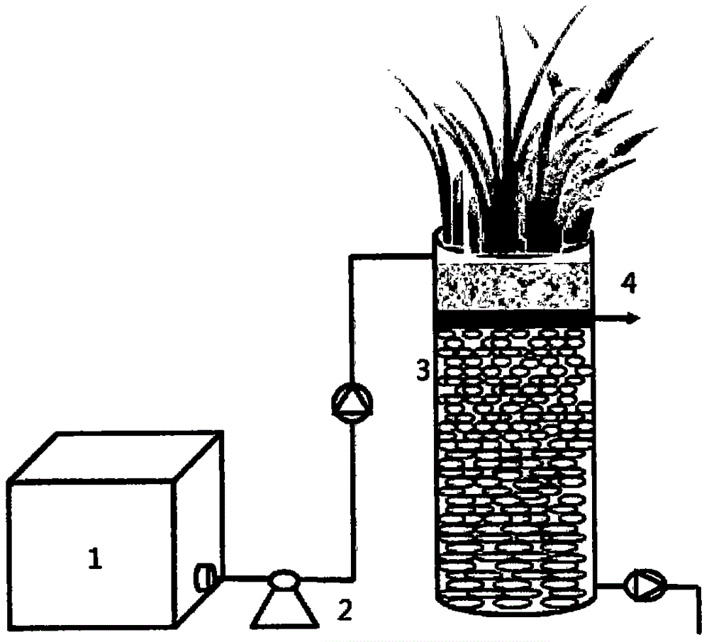 Method for enhancing denitrification of subsurface flow constructed wetland by adding alkali-heat-treatment maize straw carbon source