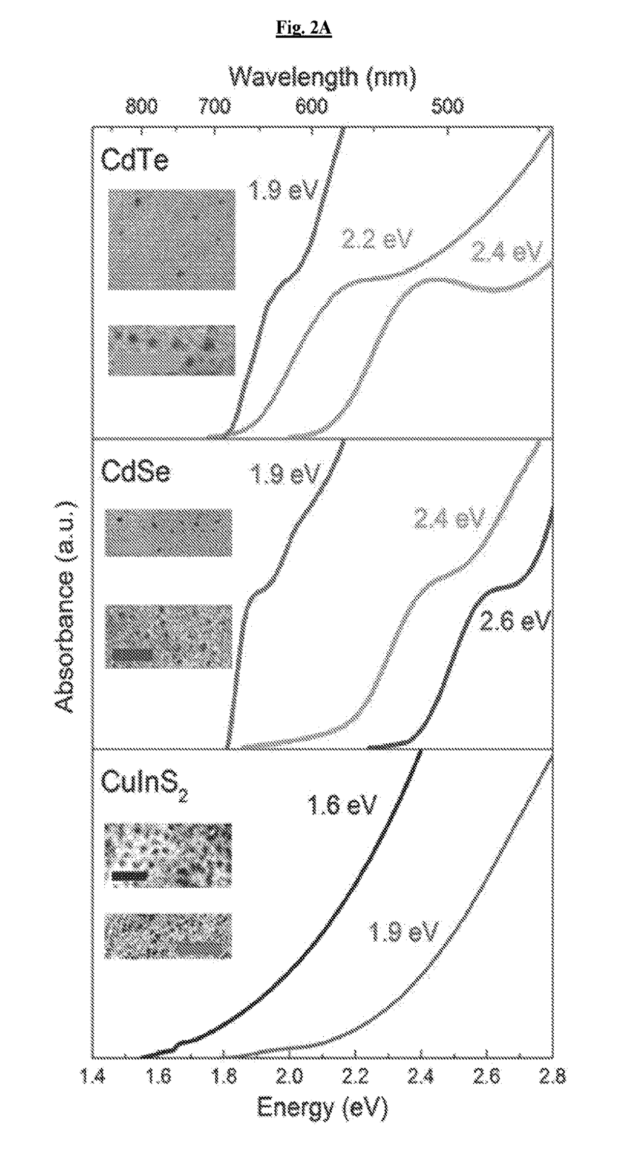 Novel light-activated compositions and methods using the same