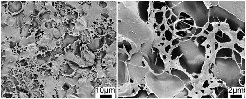 Ssilk protein aerogel for friction nano electric generator as well as preparation method thereof and friction nano electric generator