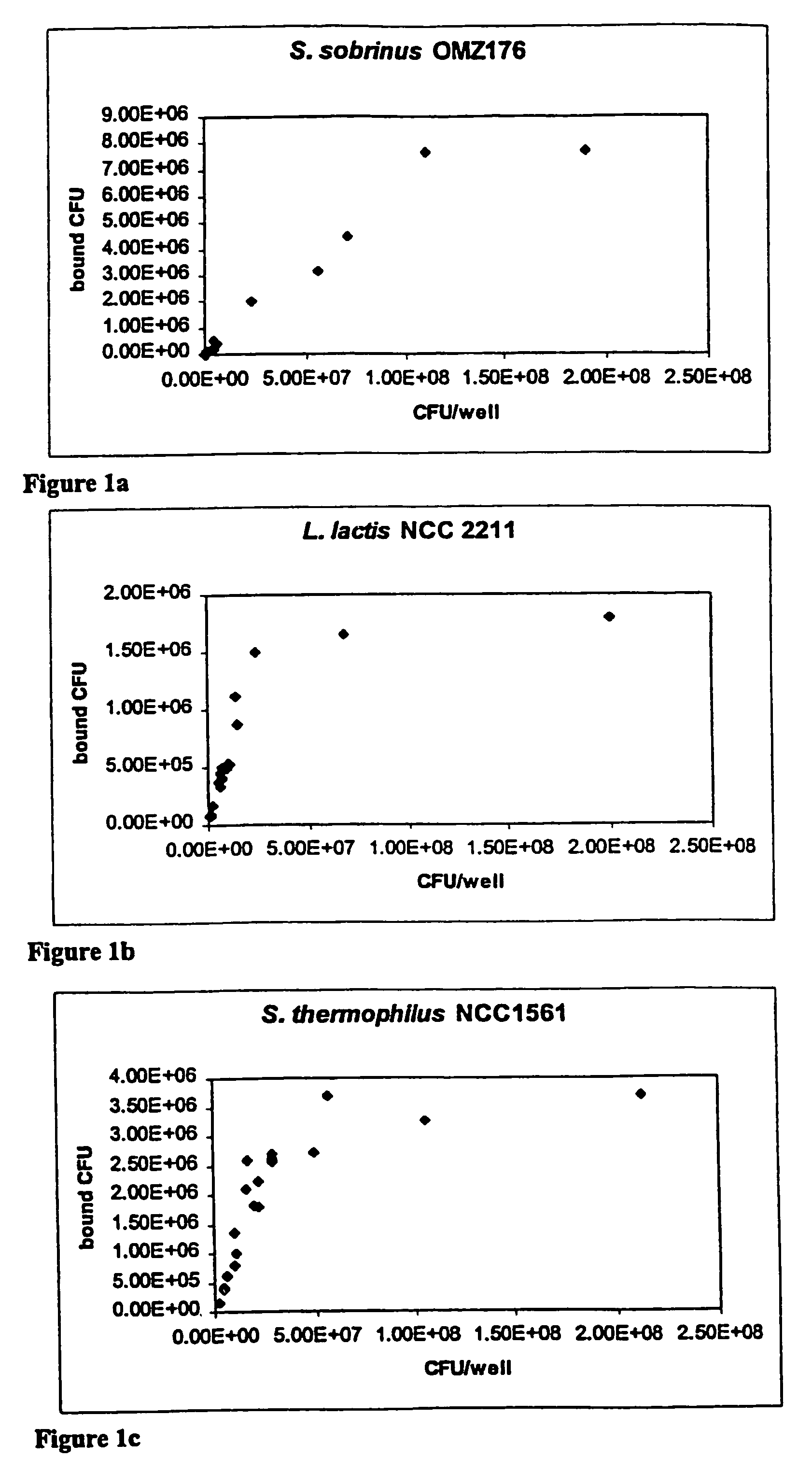 Treatment of actinomyces naeslundii-related diseases with exogenous lactic bacteria strains