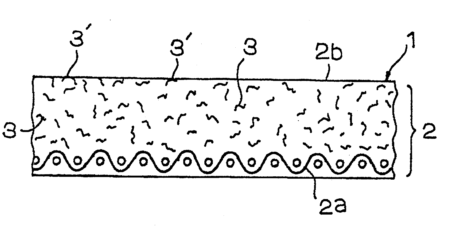 Web transfer belt and production process for the same