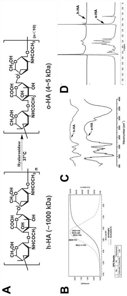 Application of oligomeric hyaluronic acid or its salt in the preparation of medicine for treating myocardial infarction