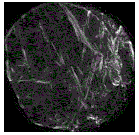 Fracture network 3D digital core modeling method