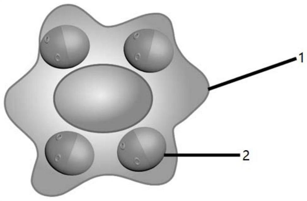 Living cell drug delivery system based on macrophages as well as preparation method and application of living cell drug delivery system