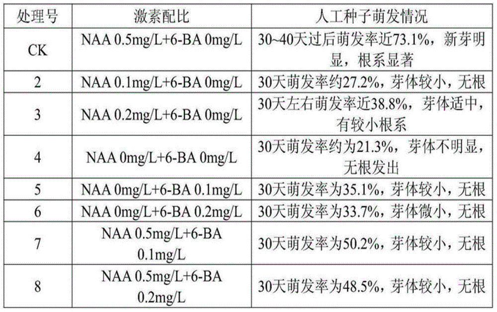 Plant tissue capsule, and preparation and application thereof