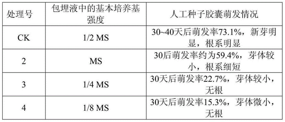 Plant tissue capsule, and preparation and application thereof