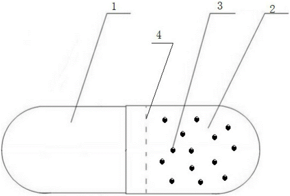 Plant tissue capsule, and preparation and application thereof