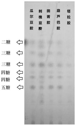 Preparation method of galacto-mannan-oligosaccharides and application of galacto-mannan-oligosaccharides