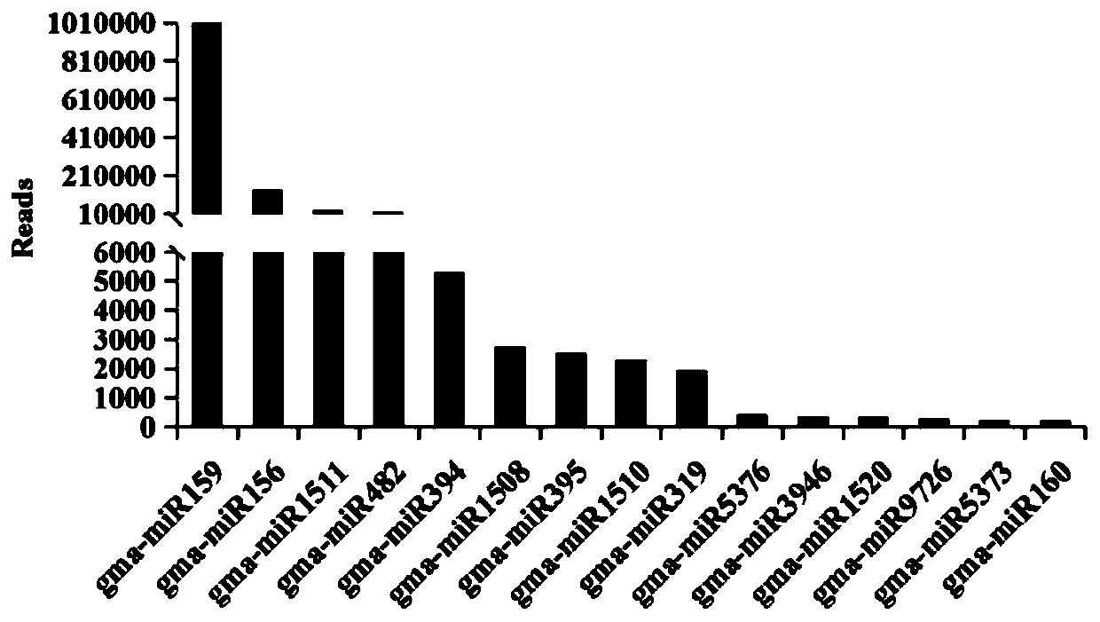 Application of soybean RNA extract in preparation of medicine for preventing and treating enteritis