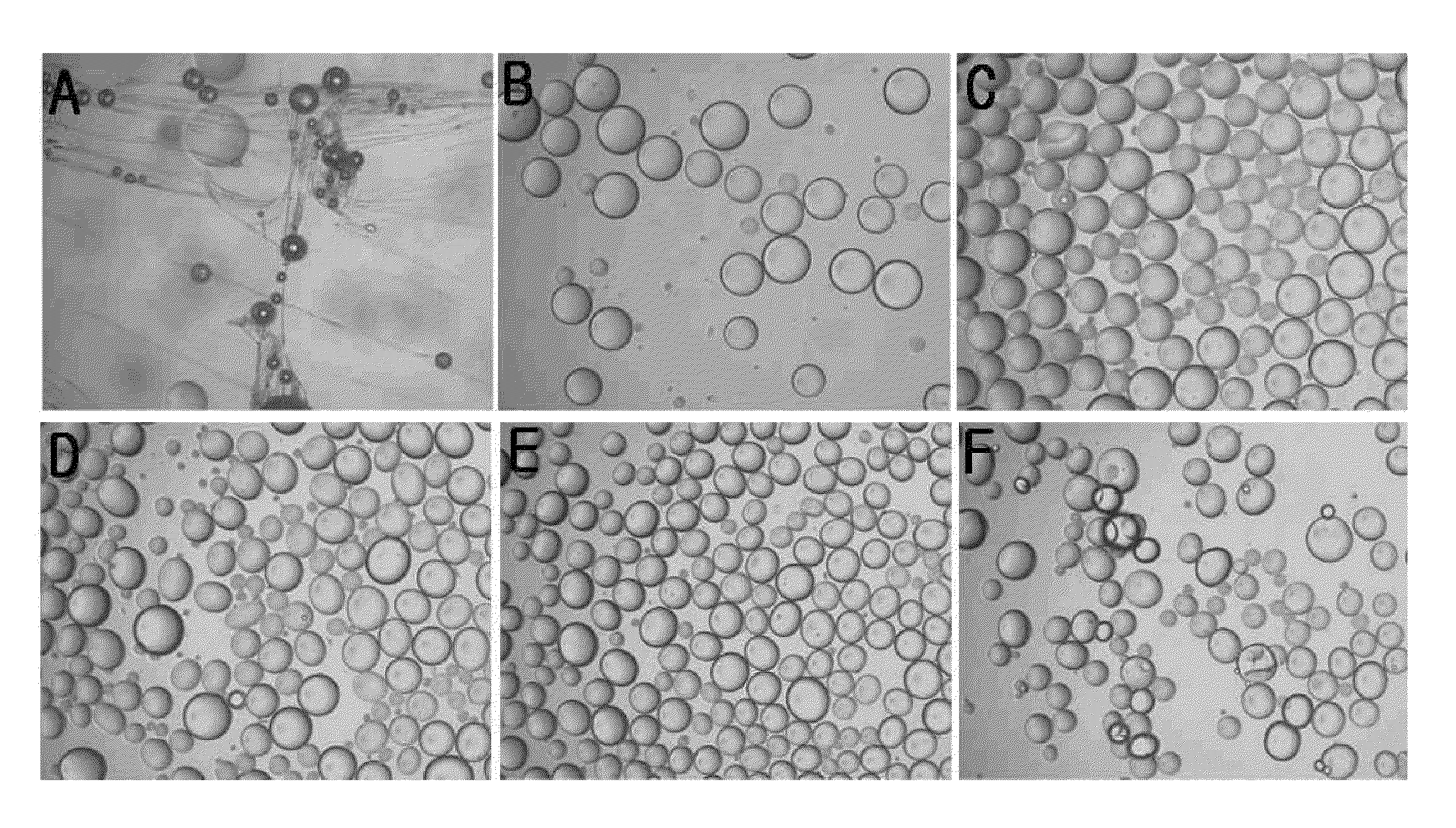 Method for preparing microspheres and microspheres produced thereby