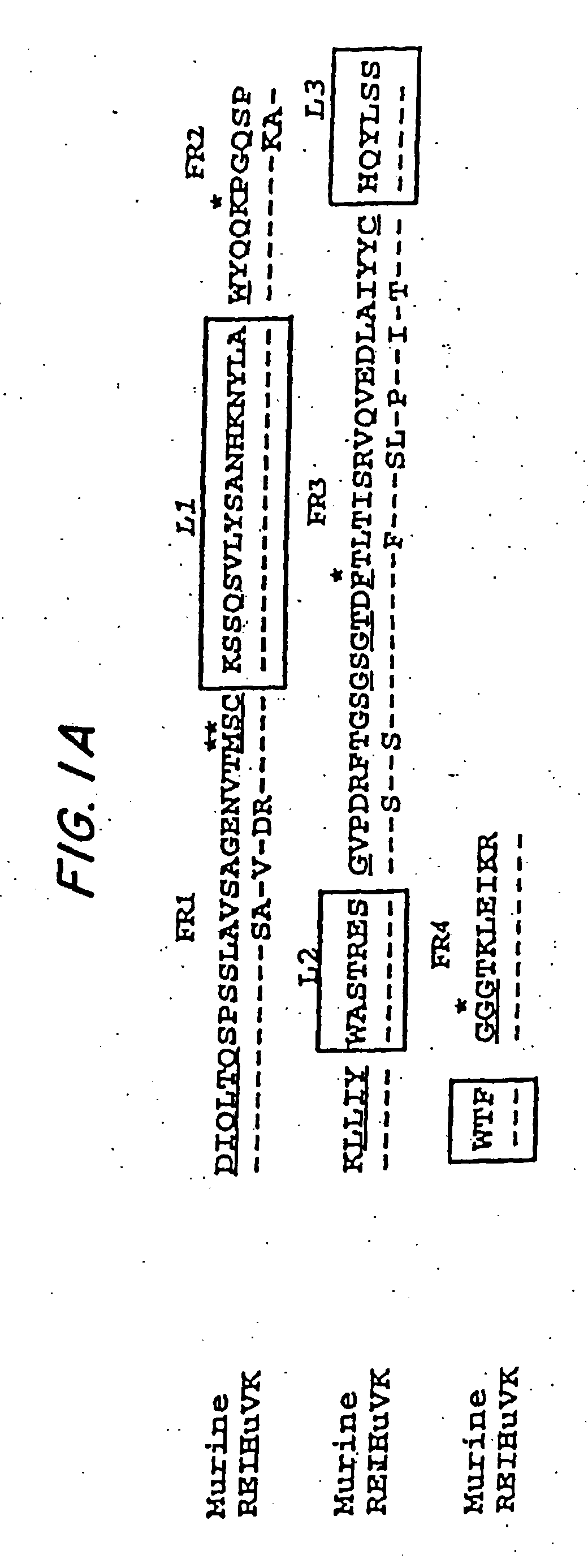 Immunoconjugates and humanized antibodies specific for b-cell lymphoma and leukemia cells