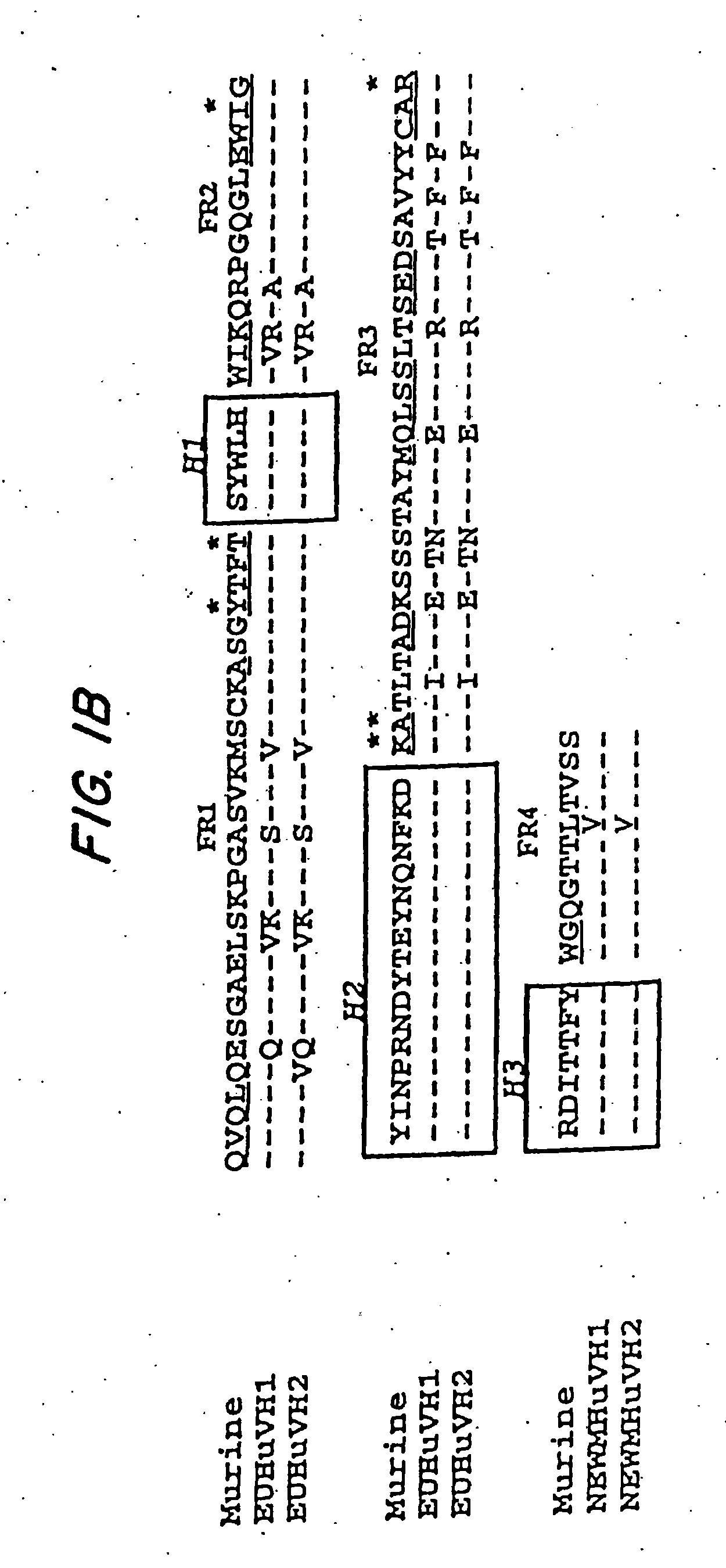 Immunoconjugates and humanized antibodies specific for b-cell lymphoma and leukemia cells