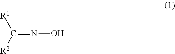 Process for producing amide or lactam