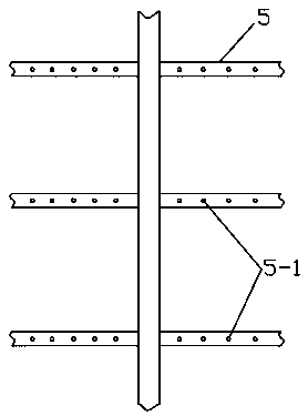 Ecological shore zone purifying structure and river purifying system with same