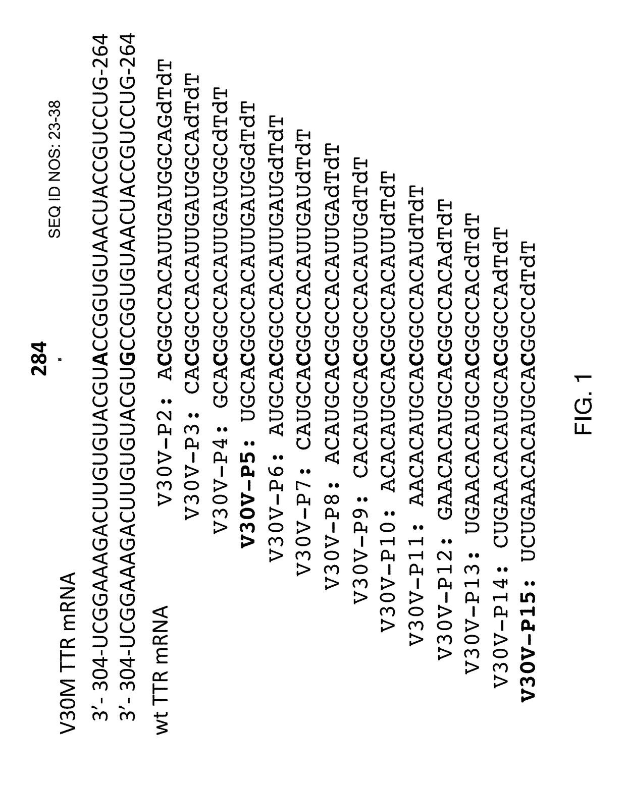 Una oligomers and compositions for treating amyloidosis