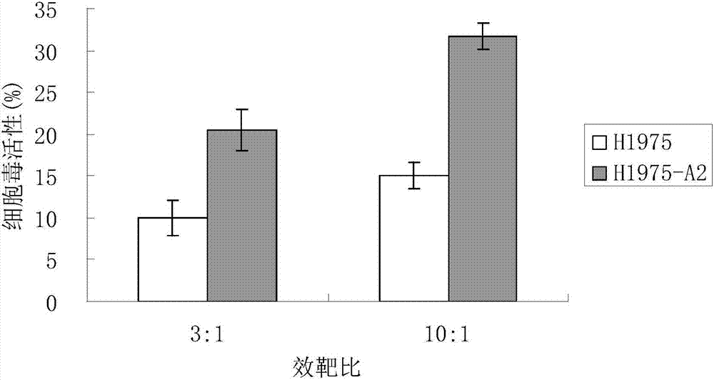 Antigen peptide T790M-1 and application to preparation of medicines for treating non-small cell lung cancer thereof