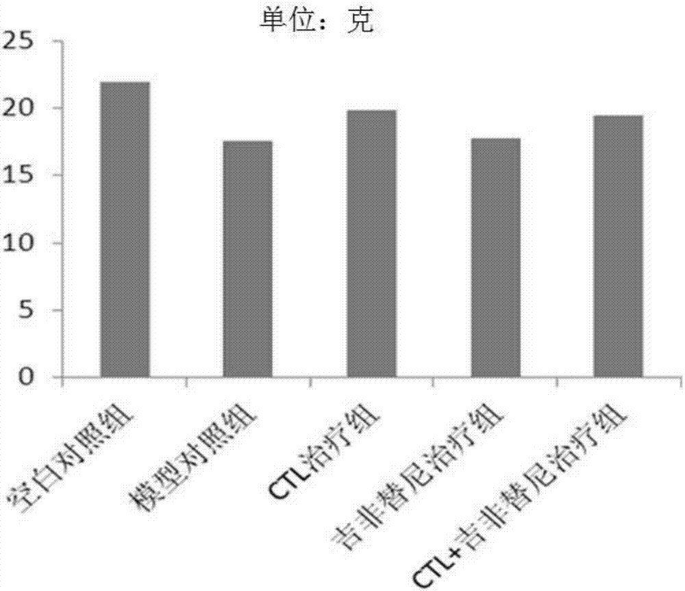 Antigen peptide T790M-1 and application to preparation of medicines for treating non-small cell lung cancer thereof