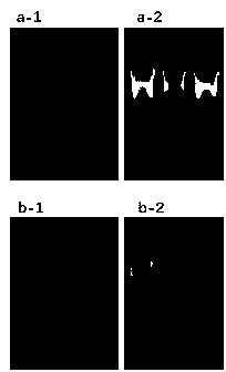 Construction method and application of recombinant porcine reproductive and respiratory syndrome virus capable of expressing African swine fever virus p12 or p17 proteins