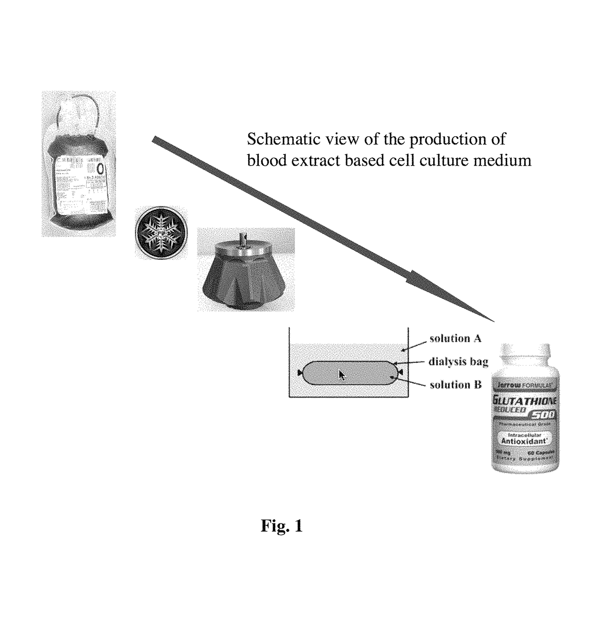 Cell culture medium