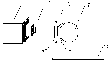 Method for measuring multiple parameters of retina of living mouse