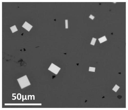 Non-layered two-dimensional PbSe crystal material and preparation method thereof