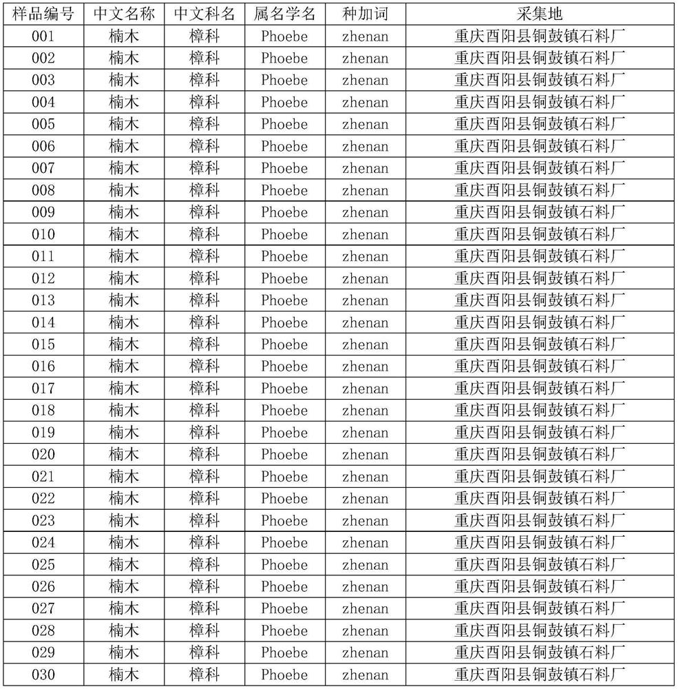 High-polymorphism single-copy microsatellite site combination and related primer combination for phoebe zhennan producing area tracing