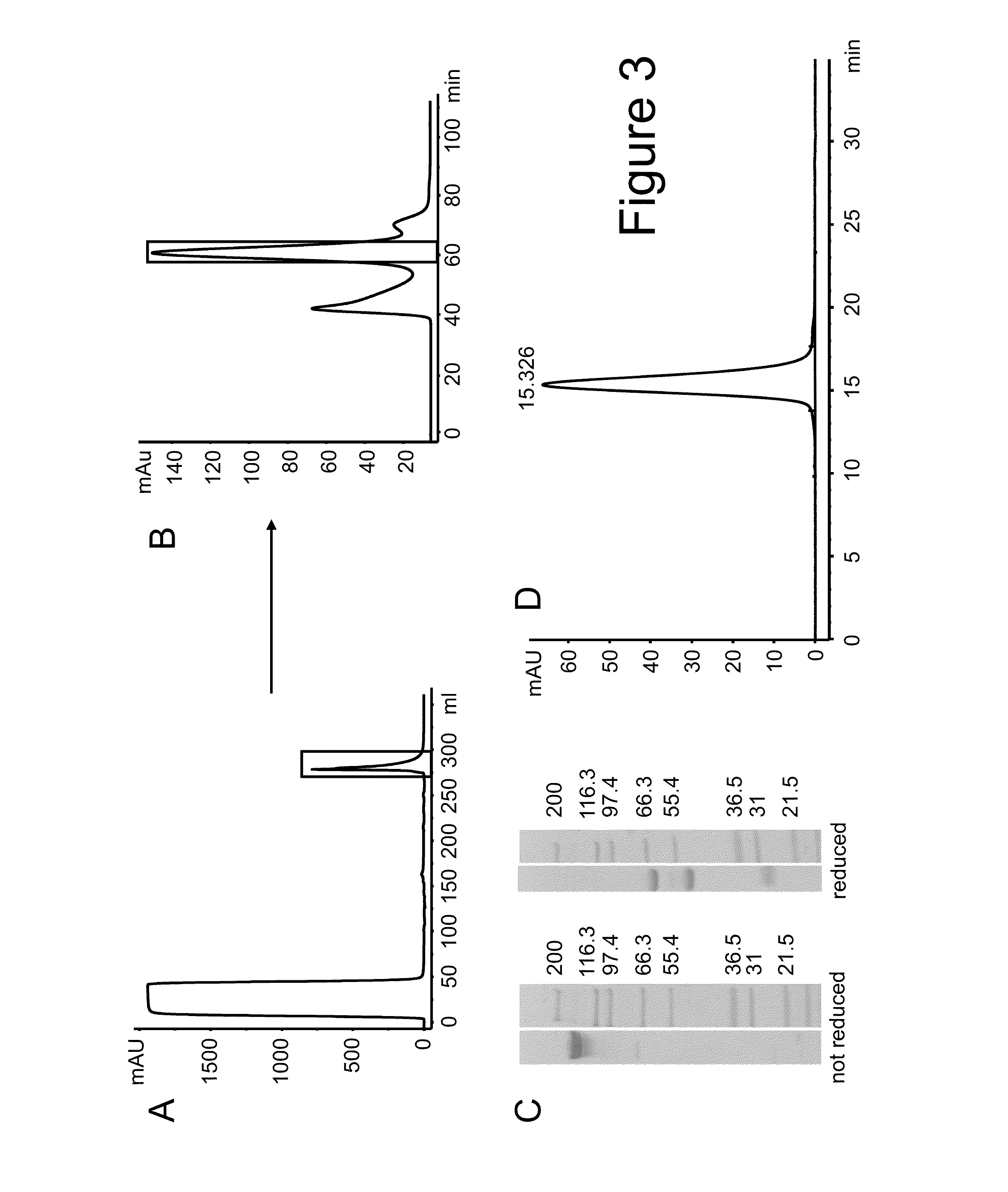 Immunoconjugates