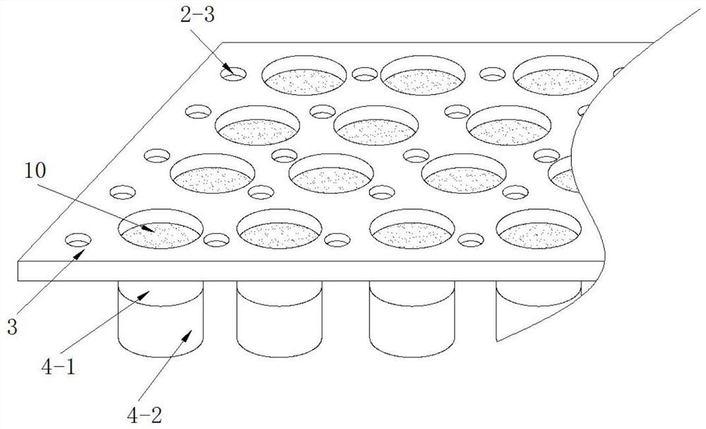 A kind of container seedling raising method of sand xerophyte