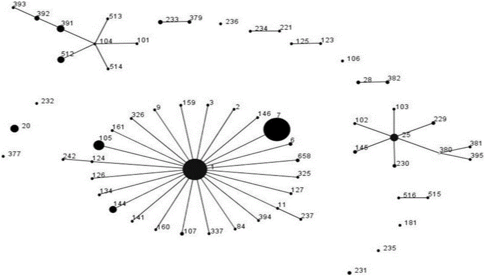 Streptococcus suis type 2 10-gene-deleted strain and application