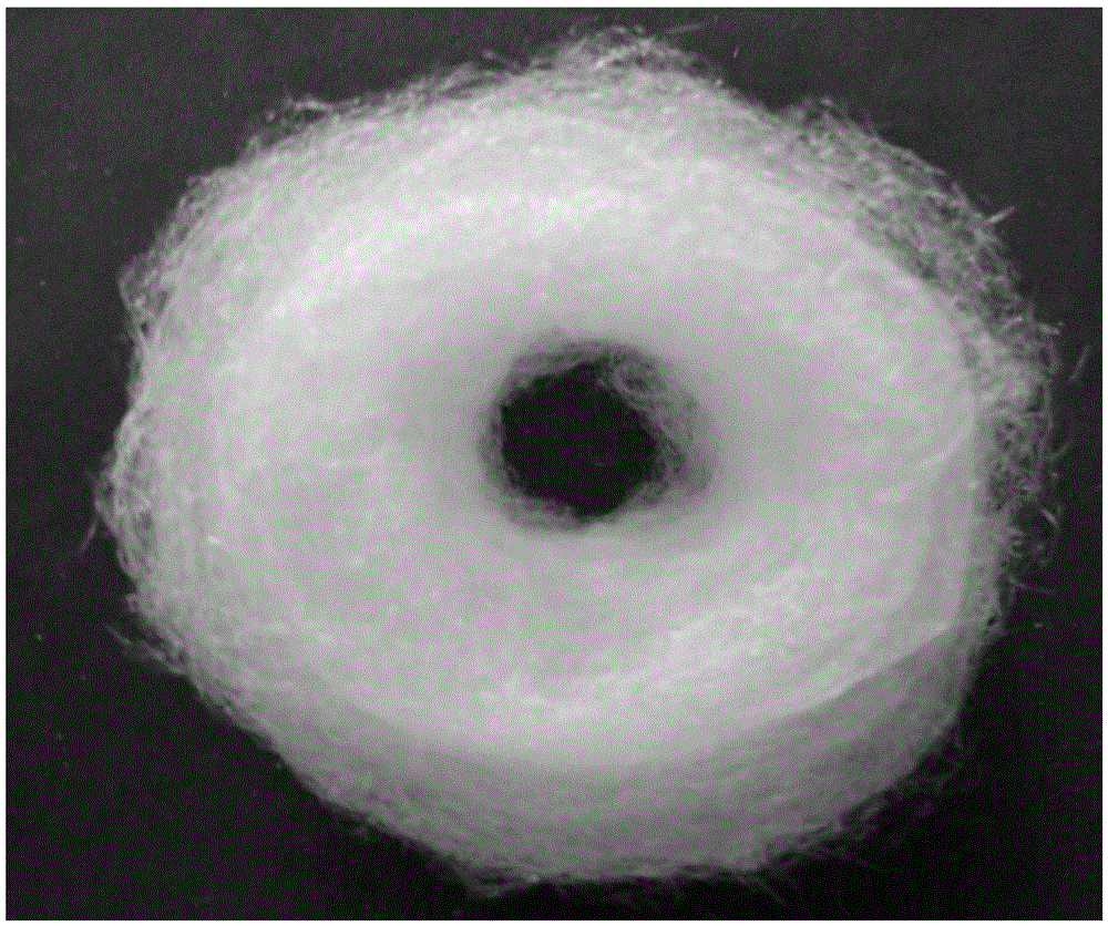 A kind of method that adopts ligand analysis technology to prepare magnesium oxide fiber