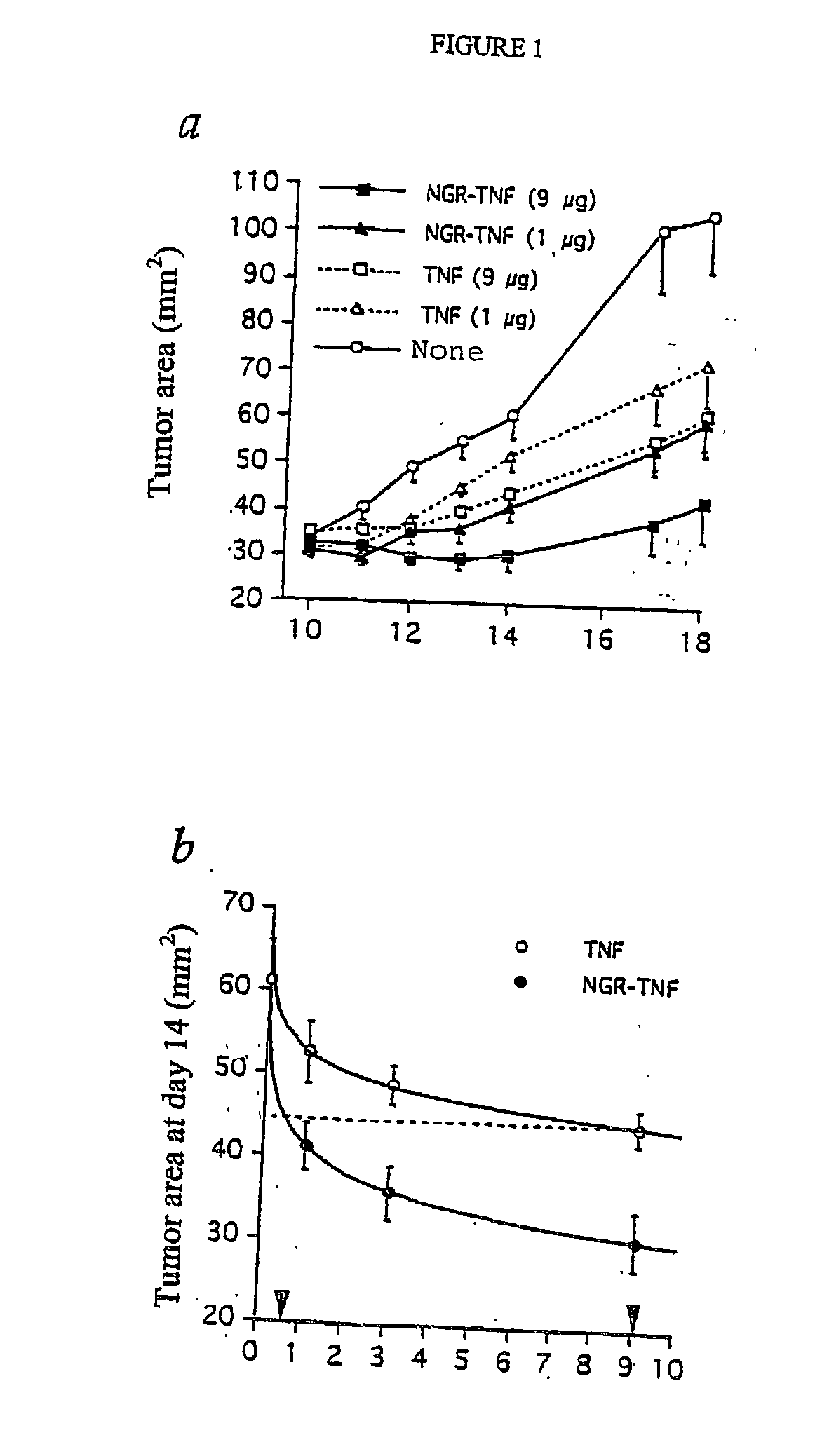 Modified cytokines for use in cancer therapy