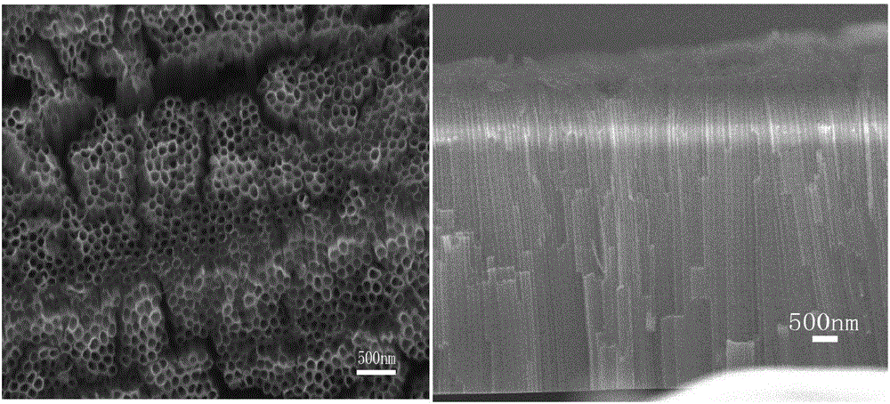 Rapid preparing method of black titanium dioxide nanotube array