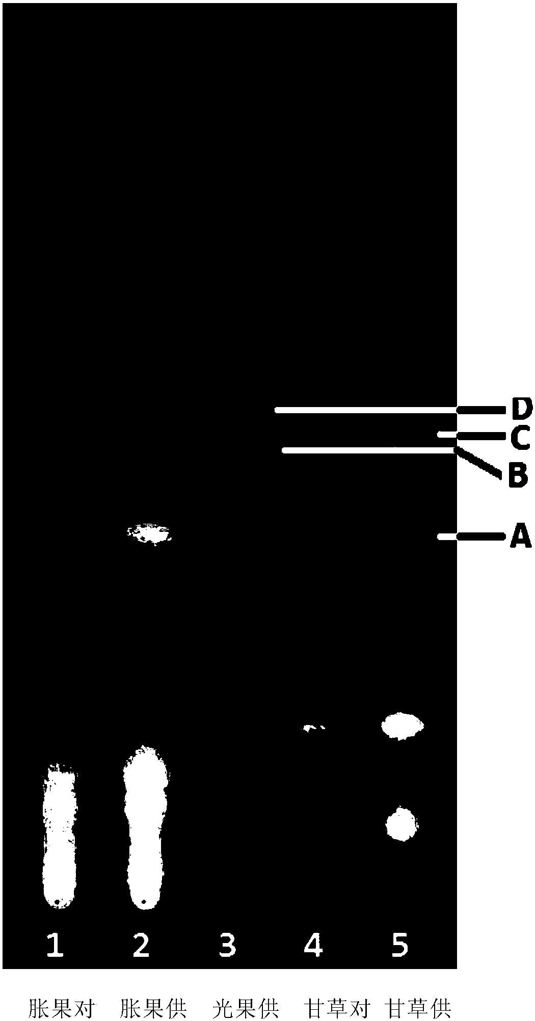 Simple and rapid thin-layer chromatography for the identification of licorice, licorice inflate and glabra