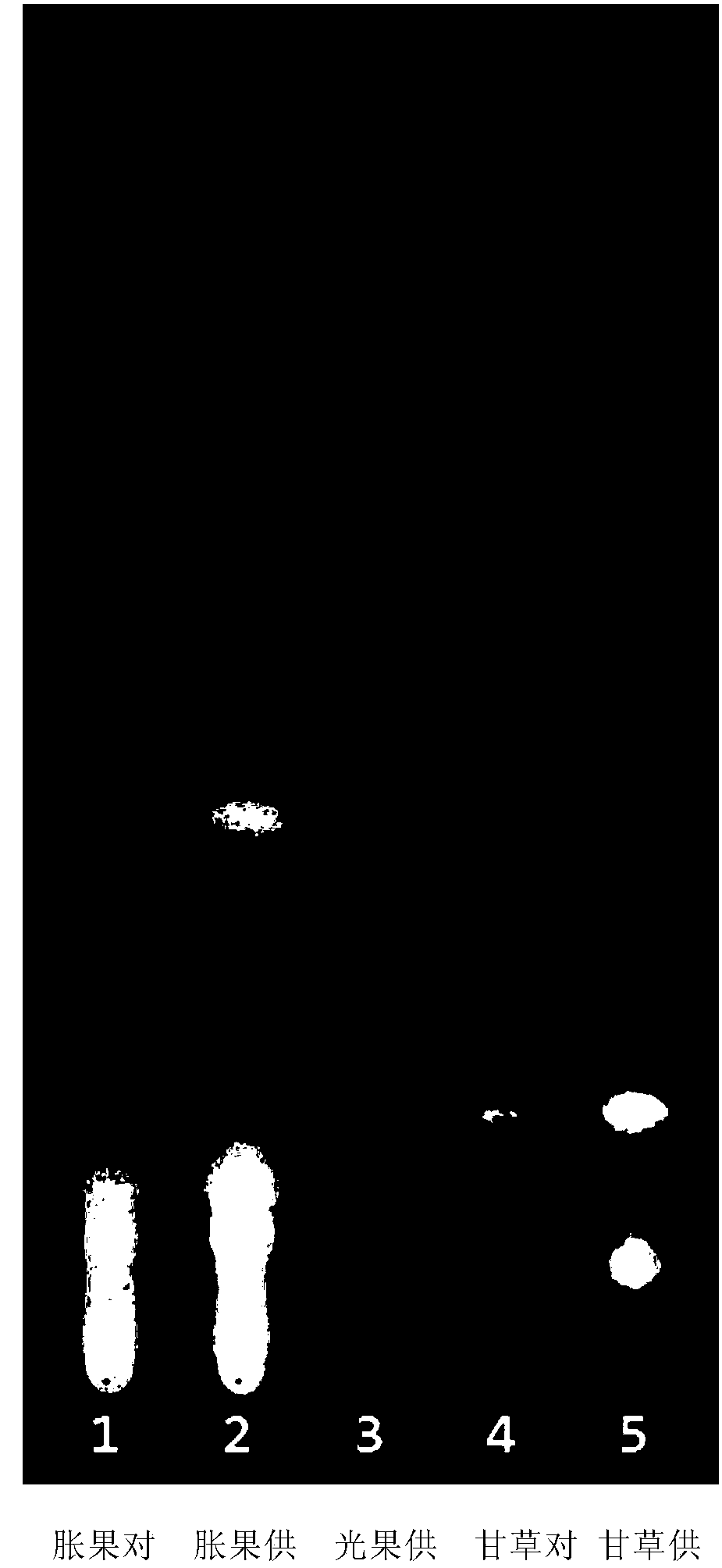 Simple and rapid thin-layer chromatography for the identification of licorice, licorice inflate and glabra