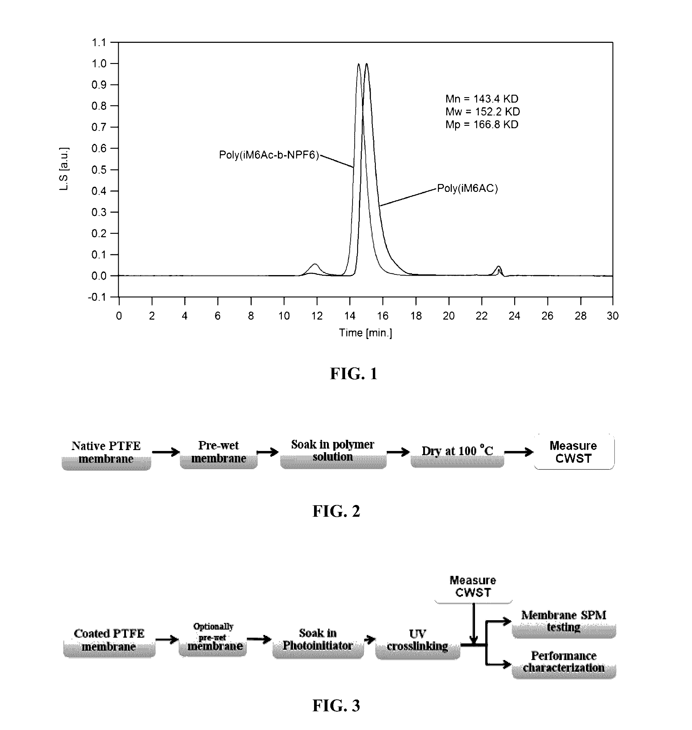 Hydrophilically modified fluorinated membrane (IV)