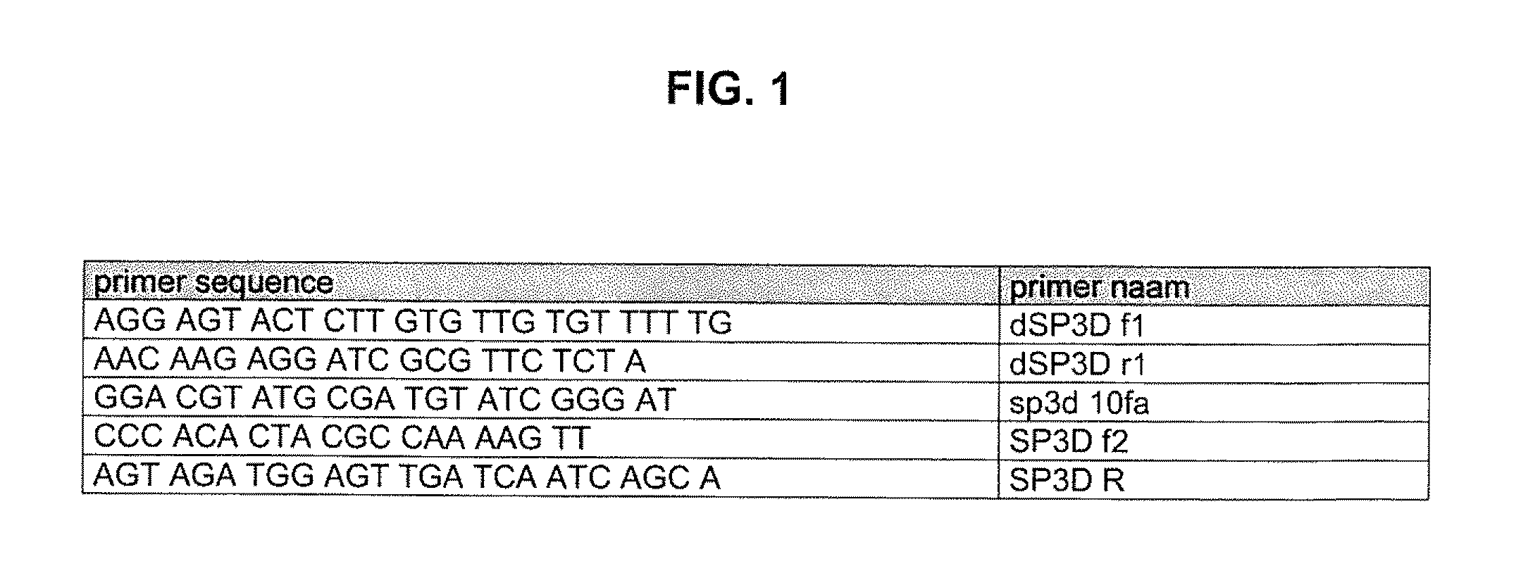 Promotor sequence and gene construct for increasing crop yield in tomato