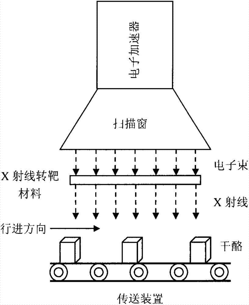 Method for prolonging cheese shelf life by irradiation technology