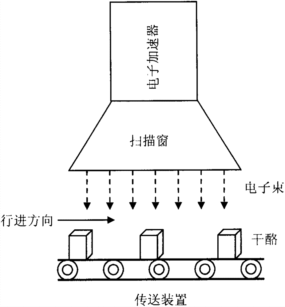 Method for prolonging cheese shelf life by irradiation technology