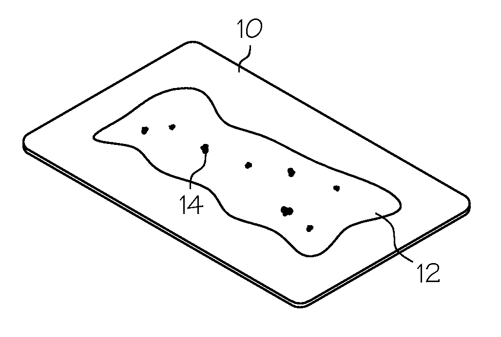 Methods and Compositions For Topical Wound Treatment