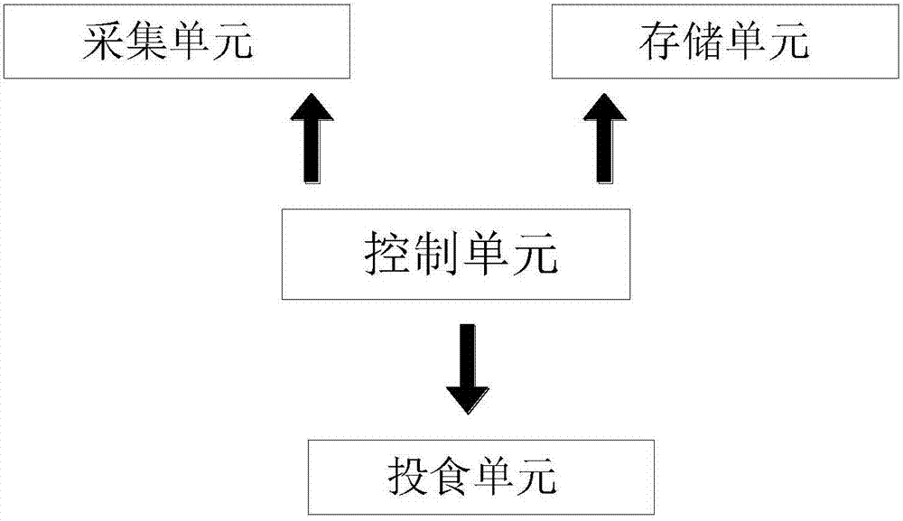 Novel Leiocassis longirostris breeding system capable of automatically adjusting feeding amount