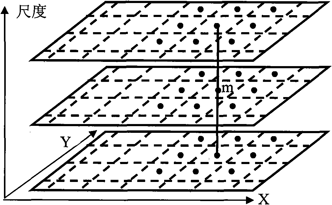 Construction method for gray-level information content histogram