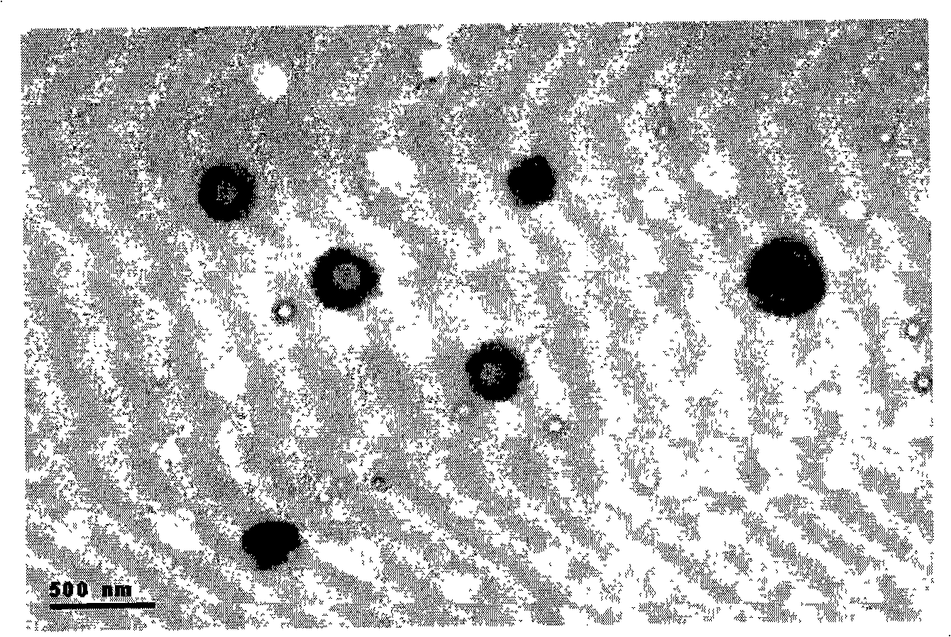 Tanshinone IIA polylactic acid nano particles and preparation method thereof