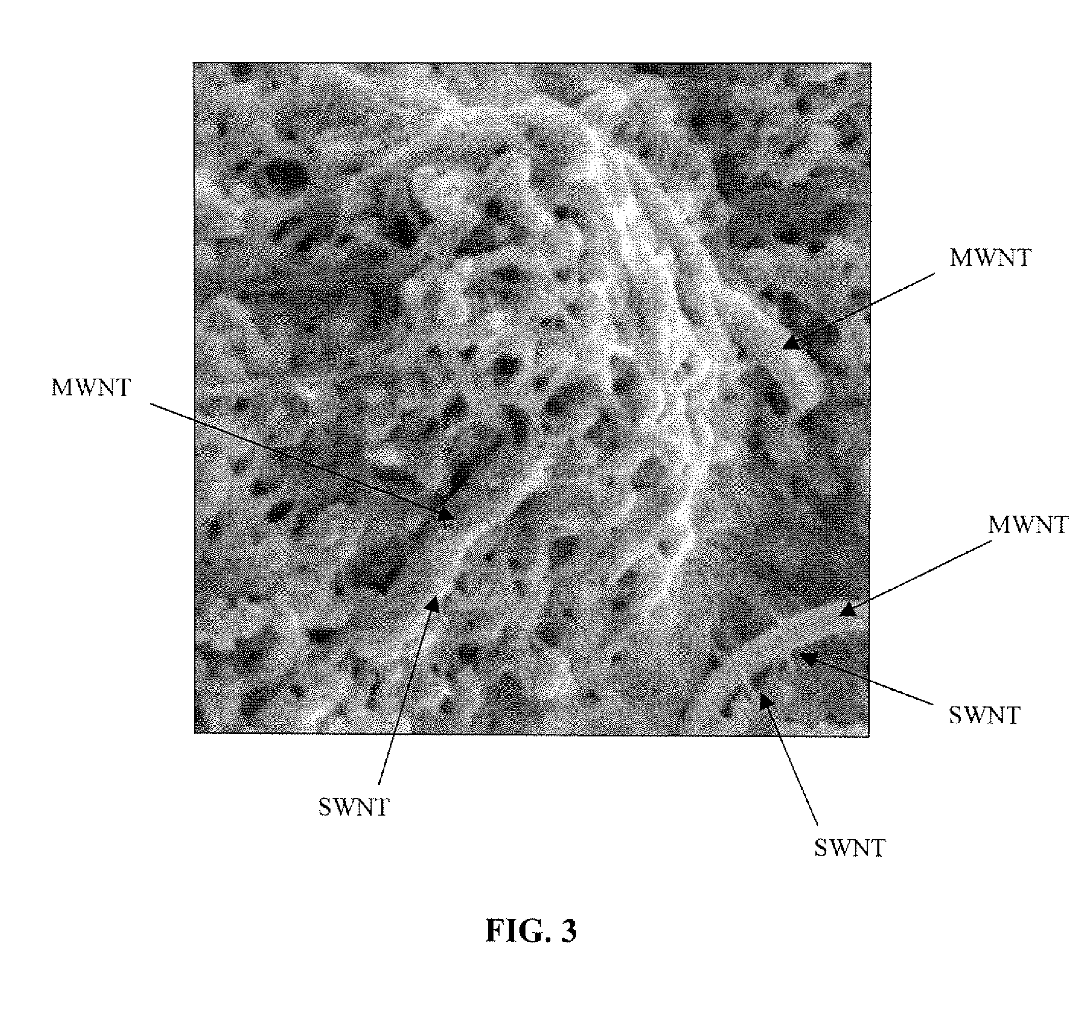 Method for fabricating macroscale films comprising multiple-walled nanotubes